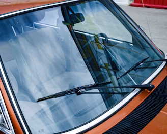 black car door with white window blinds